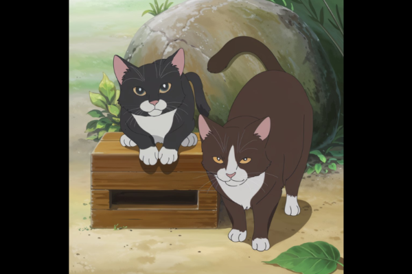 anime:tvsddfmwsvg= cats