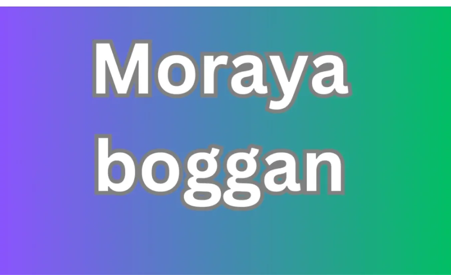 moraya boggan