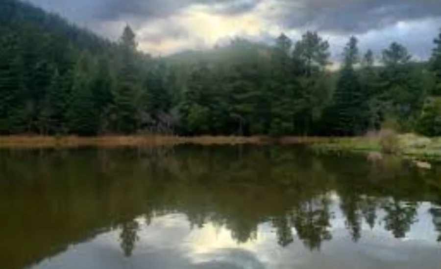 Maverick campground new mexico fishing